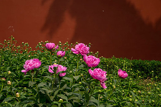 dò xổ số