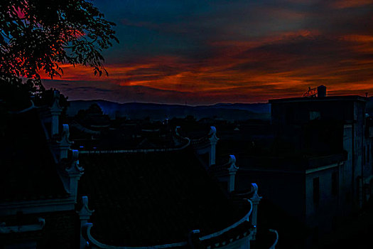 soi lo bạch thủ