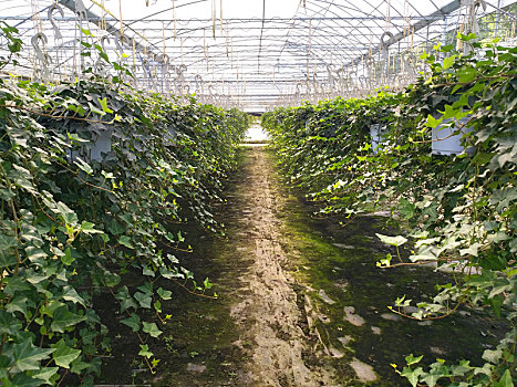 tra cứu xsmb