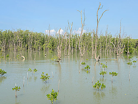 bach thu de mb hom nay