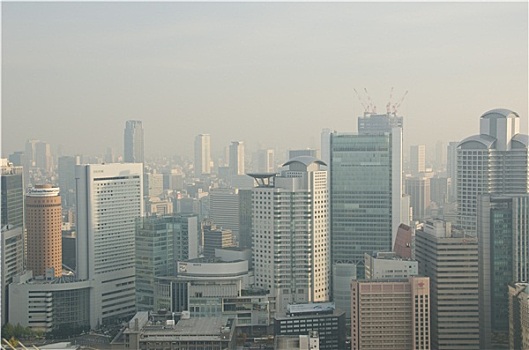soi cầu miền bắc bạch thủ