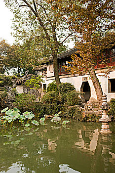 soi cau loto mien phi