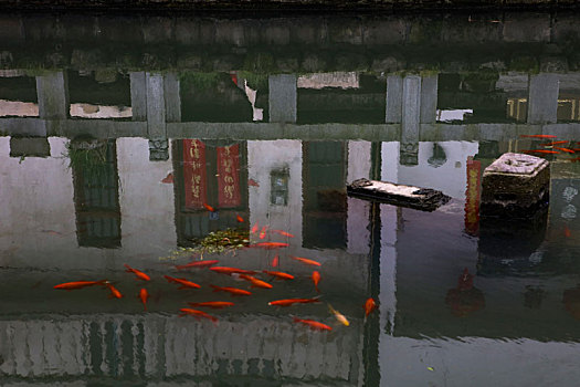 xổ số thử