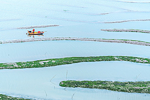 dự đoán lô bạch thủ