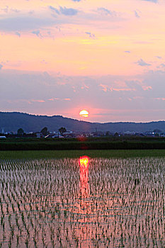 quay thu mn