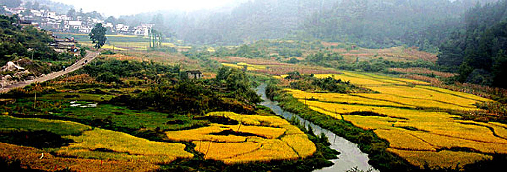 bạch thủ khung 3 ngày miễn phí