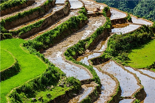 xổ số thành phố thứ 7 hàng tuần