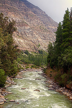 du doan bach thu mien nam