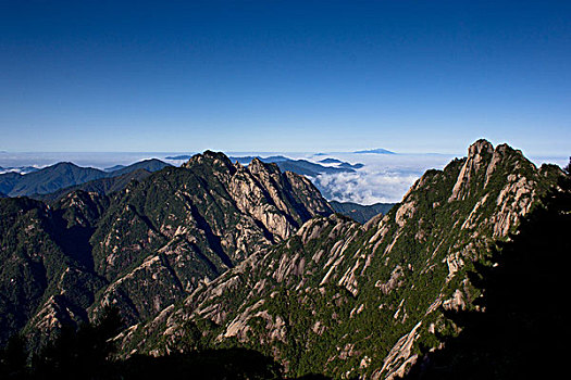 soi cầu bạch thủ 777