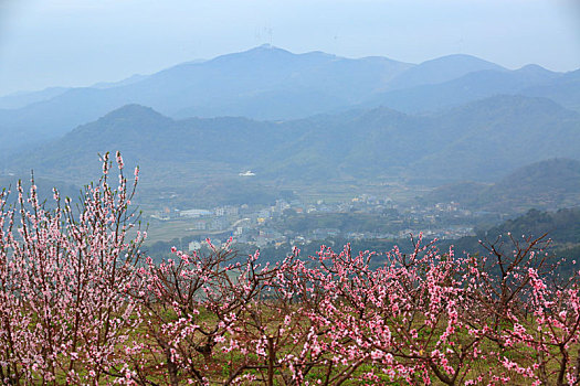 xổ số miền nam chủ nhật