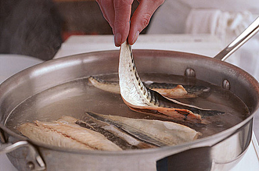 soi bạch thủ lô miền bắc