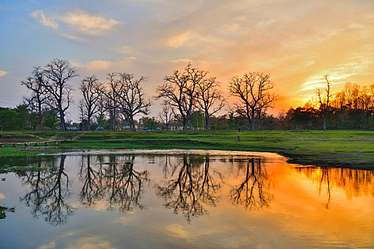 soi cau thu đo