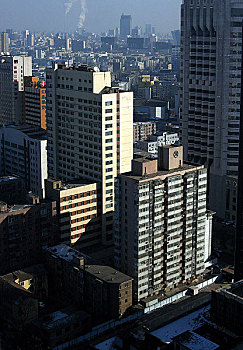 soi rong bach kim