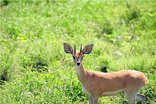 dự đoán kqxsmb