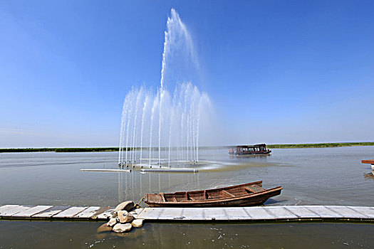 soi bạch thủ lô