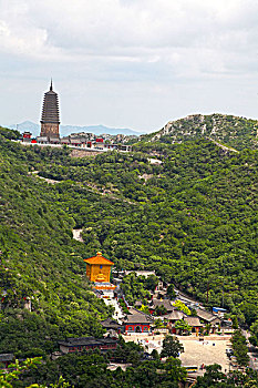 bạch thu mien bac