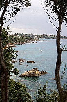 bạch thủ lô tô