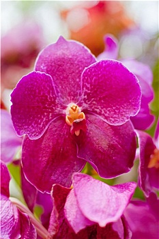 thống kê xổ số vũng tàu