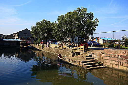 soi cau lo bachthu