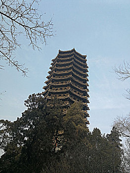 ban do tinh ca mau