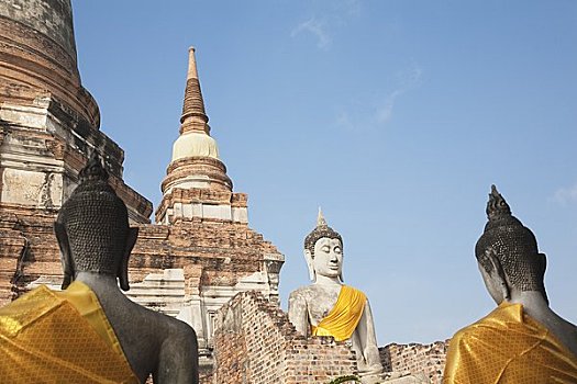 soi cau bach thu mien phi mien bac hom nay