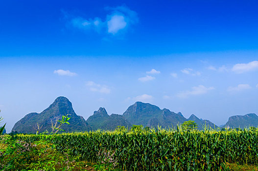 xổ số thành phố hồ chí minh hôm nay