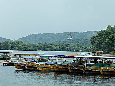 soi cau 88wap sh