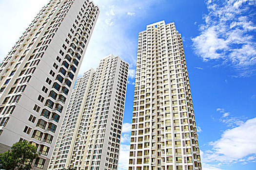 cau bachthu mienbac
