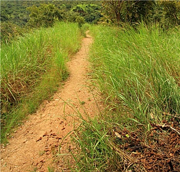 cách chơi lô xiên
