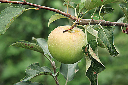 dự doan xsmb