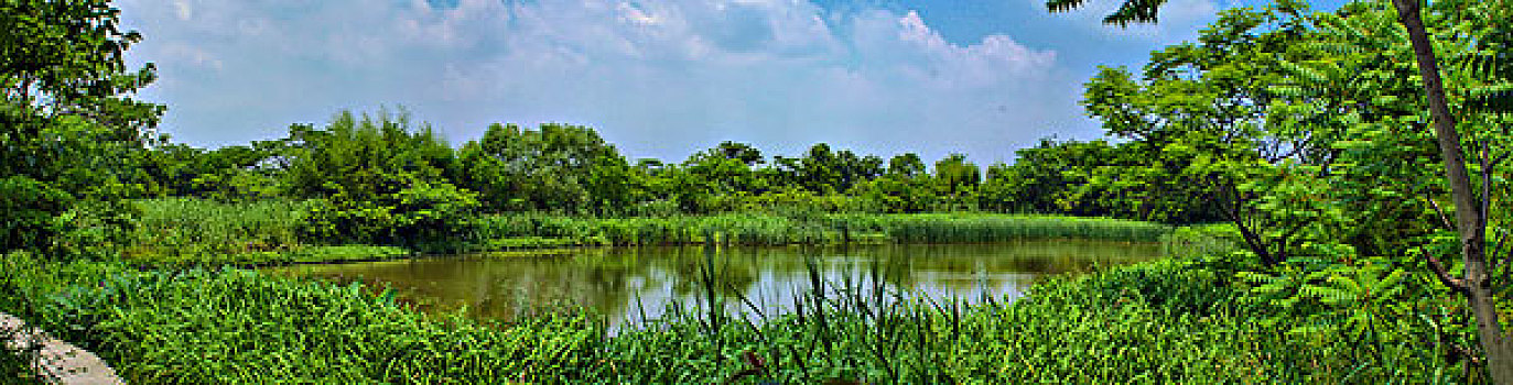 bạch thủ lô đề hôm nay