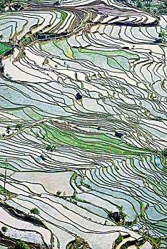 dự đoan xsmb