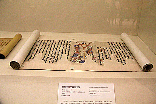 bạch thủ lô mb