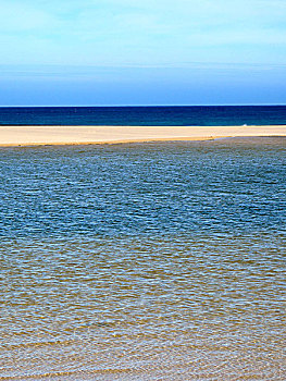 bach thu lo kep mb