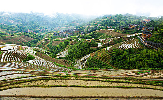 xskt ninh thuận