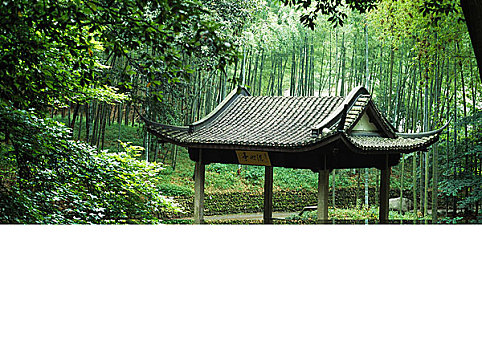 soi cau 2 nhay rong bach kim