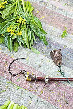 xổ số kiến thiết an giang