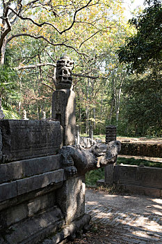 cau soi ba mien