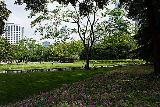 soi cau mb minh ngoc