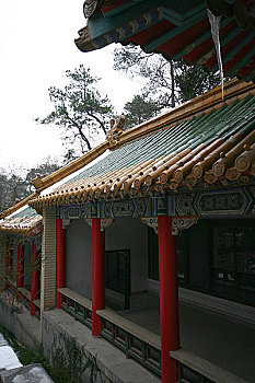 soi cau bach thu 247