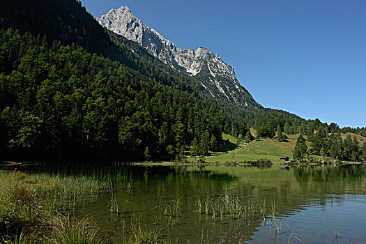 du doan xsmn cn