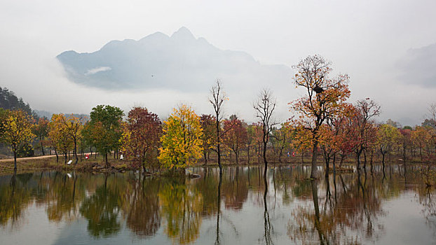 đề lô hôm nay