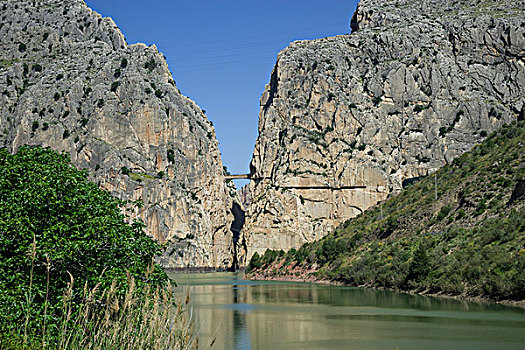 soi cầu
