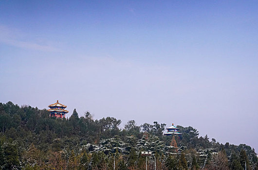 soi cau 8512