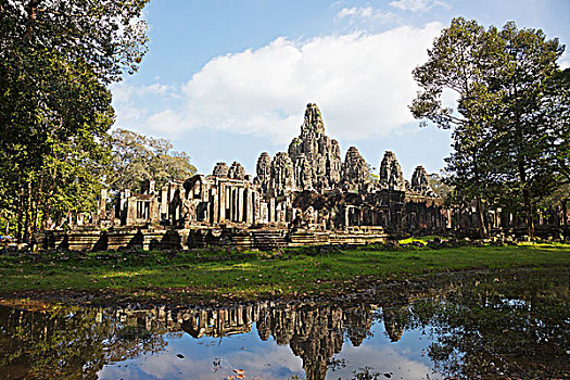soi bach thu