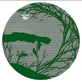 xs3dai
