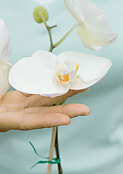 dự đoán kết quả xổ số kiến thiết miền nam