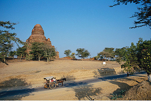 điện toán 123