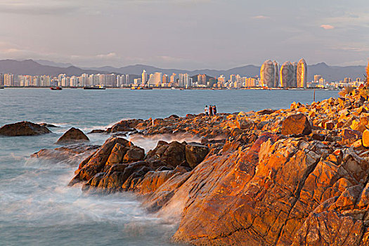 soi cau lo bach thu rong bach kim