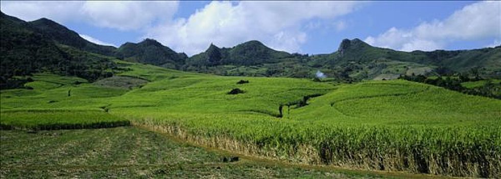 cách chơi dàn đề hiệu quả